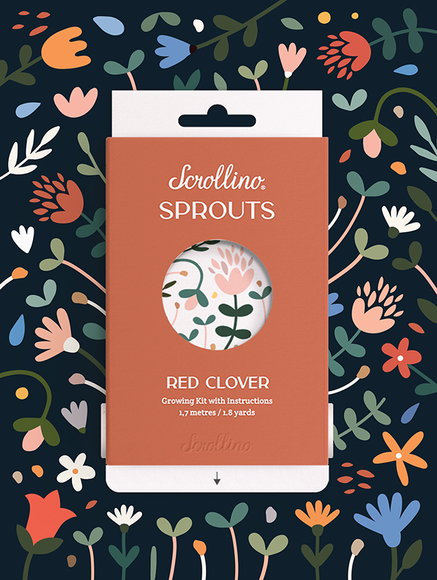 Scrollino Sprouts – Red Clover