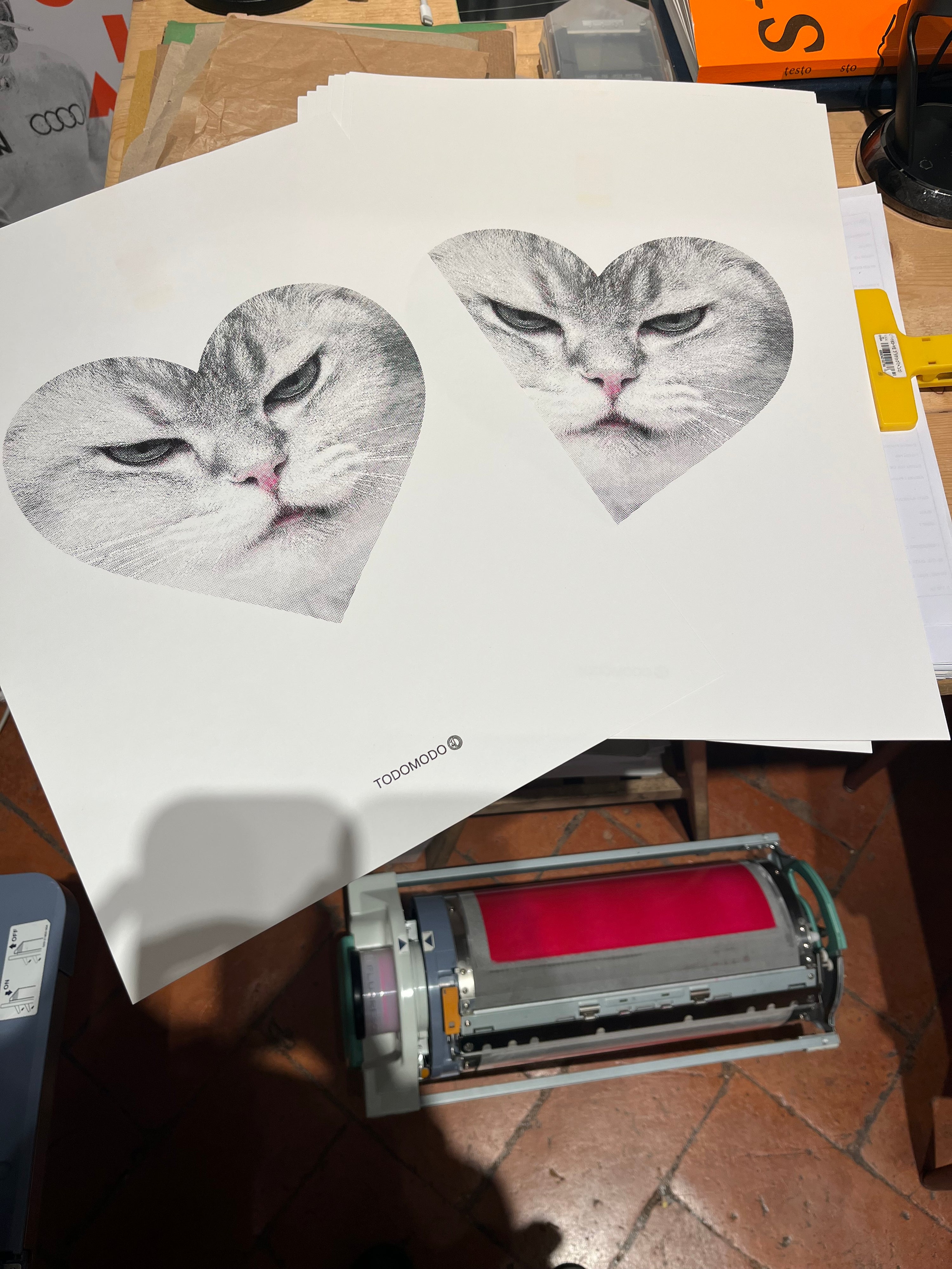 Poster A3 | Gatto arrabbiatissimo