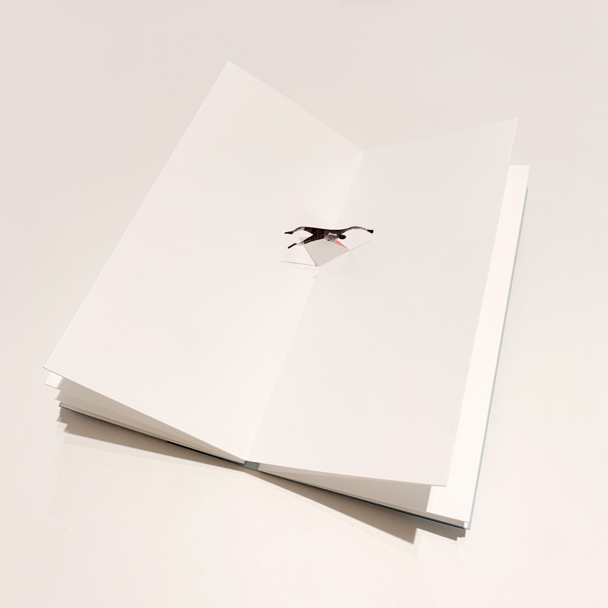 Ghiggia, il silenzio esplose sul Maracana - POP UP BOOK