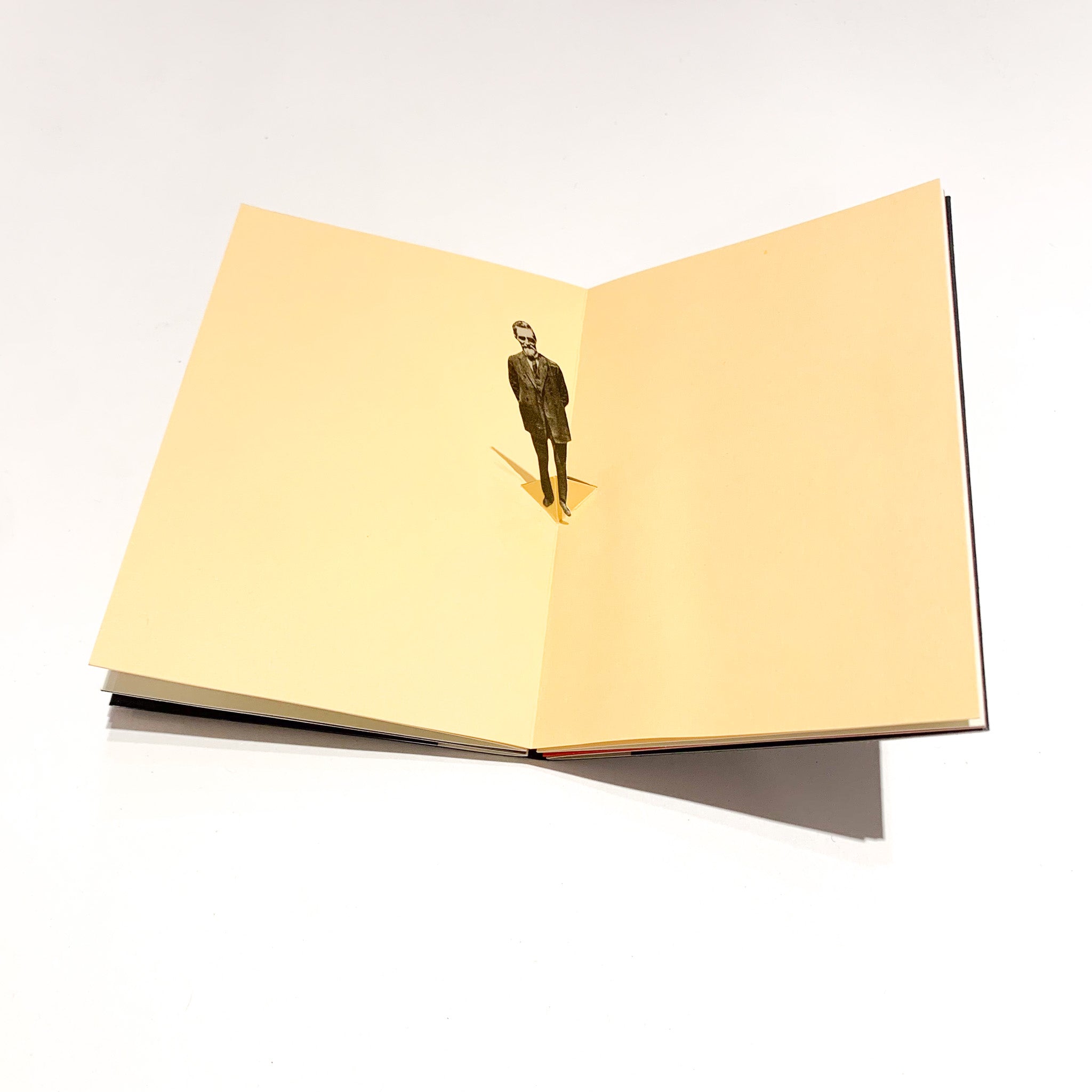 The Anarquistas - POP UP BOOK