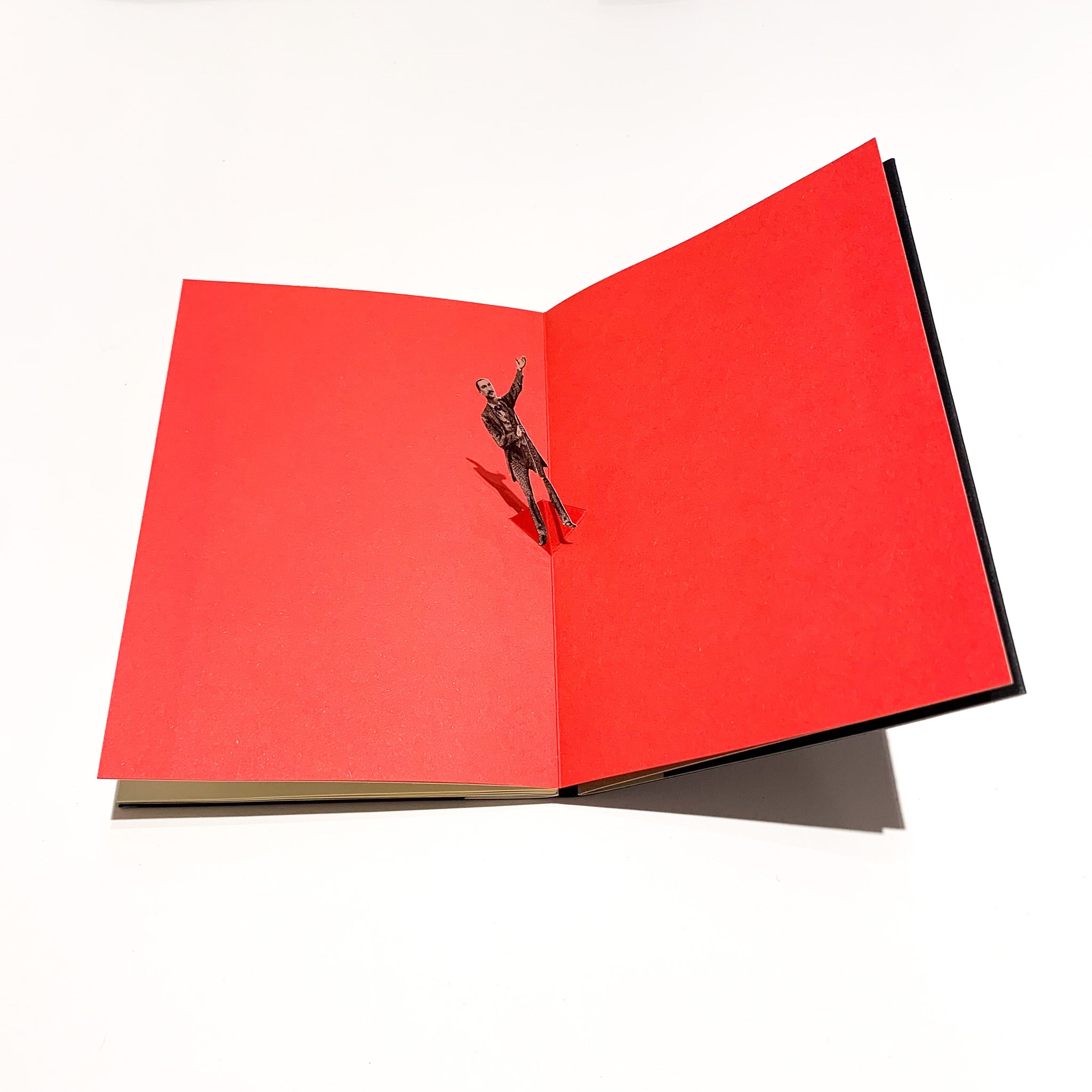 The Anarquistas - POP UP BOOK