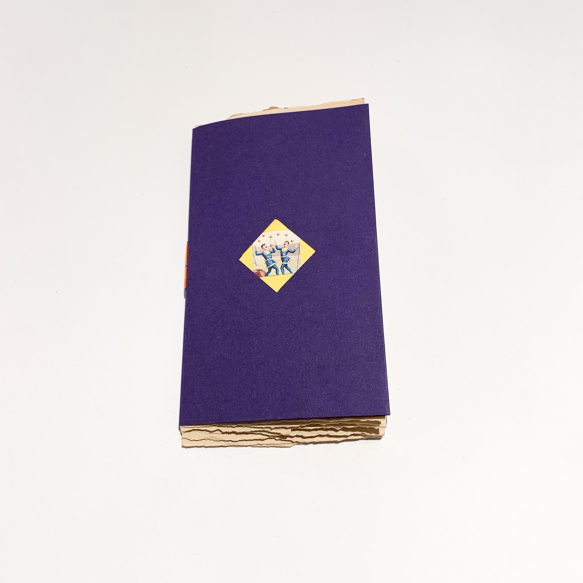 Il Circo di Atacama - POP UP BOOK