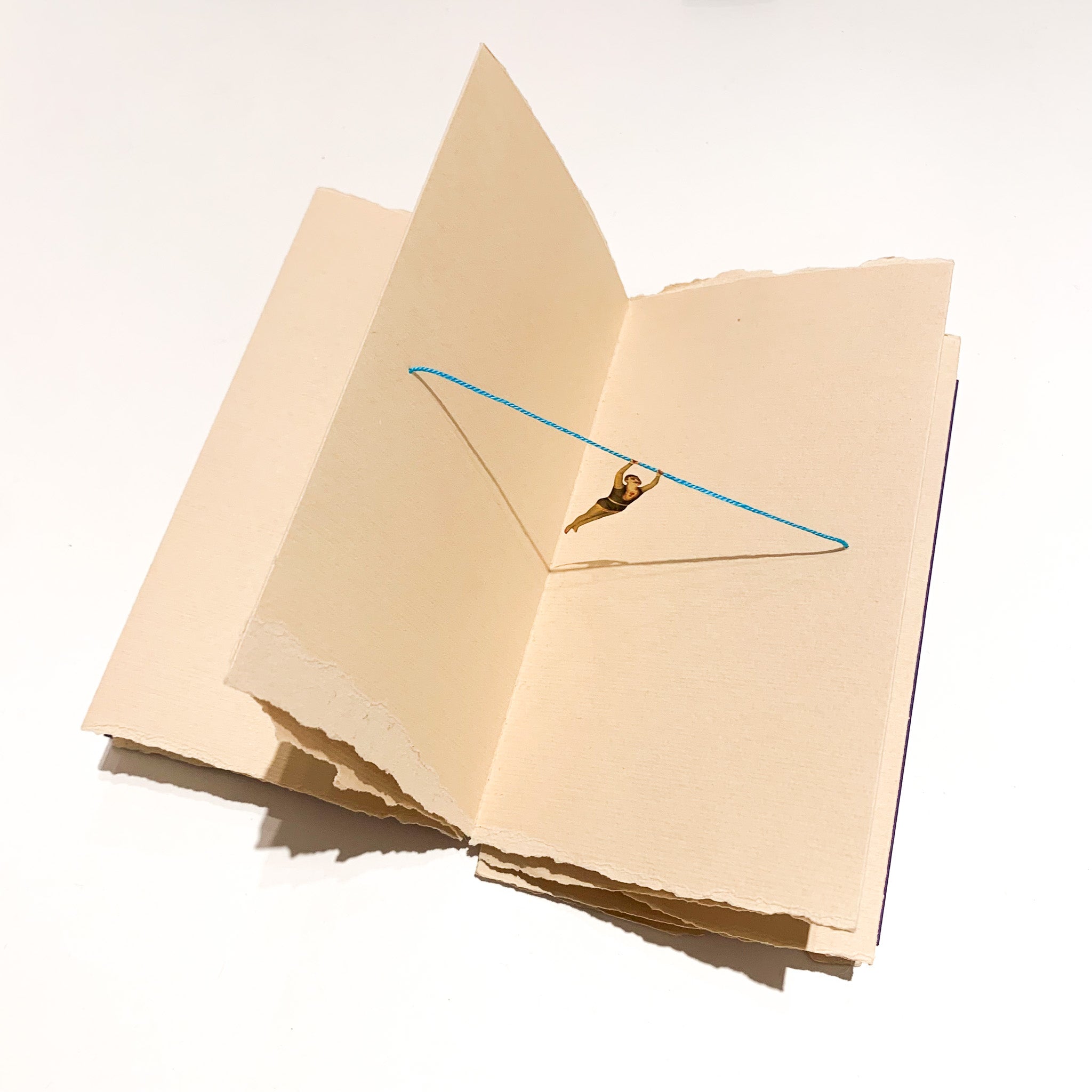 Il Circo di Atacama - POP UP BOOK