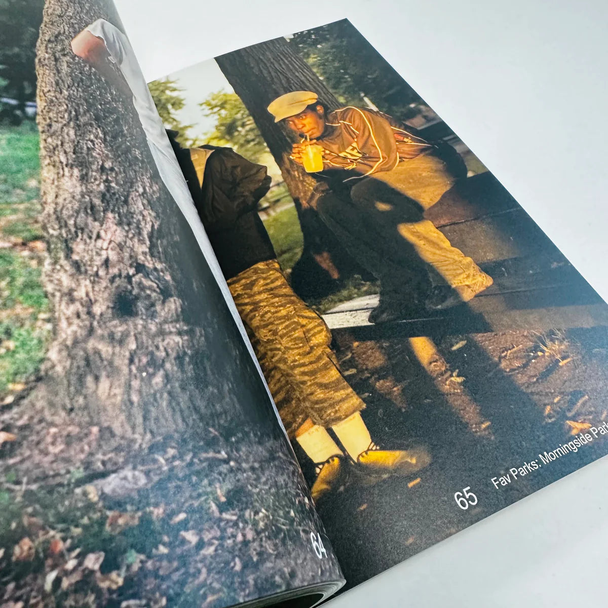 Third Place Zine Issue 01 Parkscapes