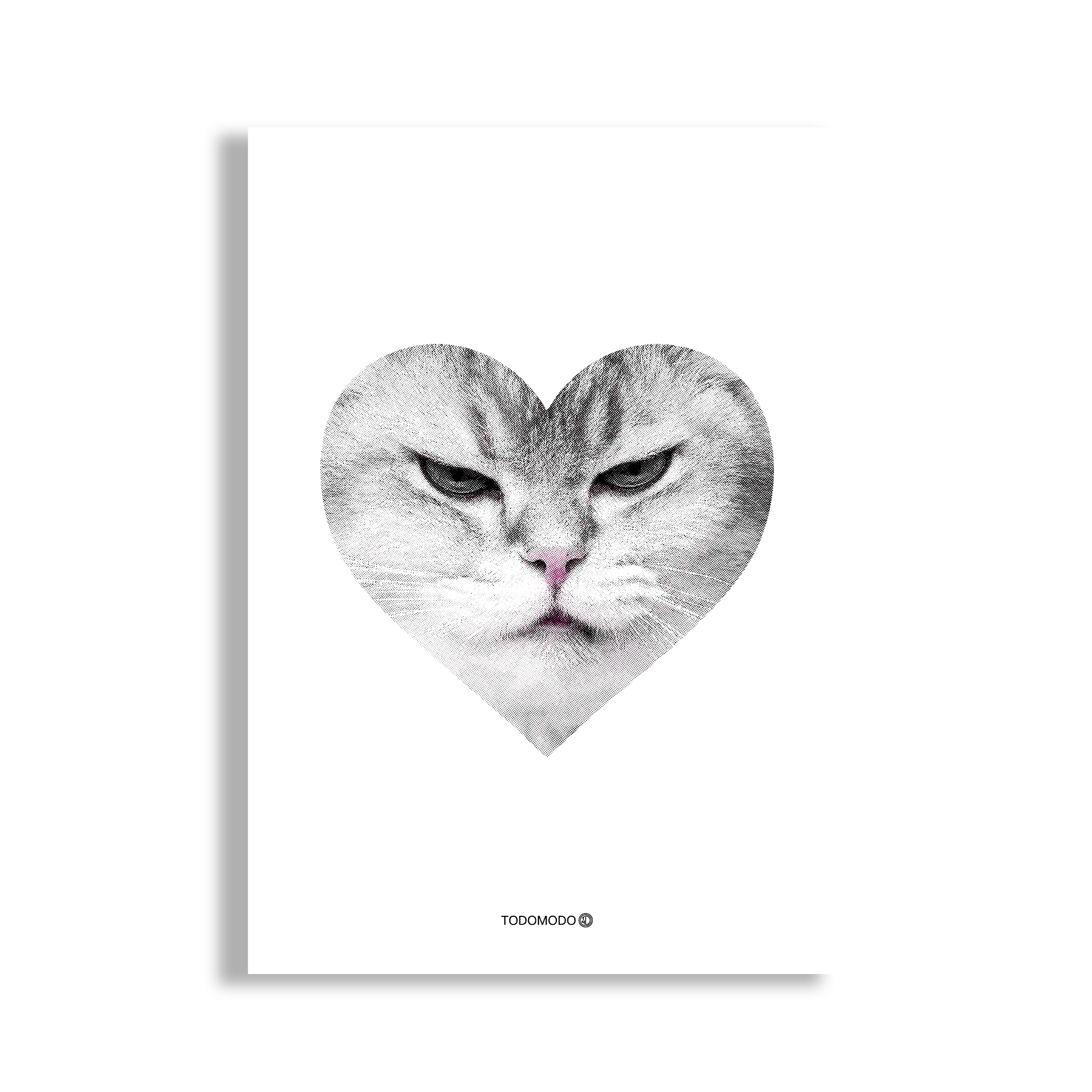 Poster A3 | Gatto arrabbiatissimo