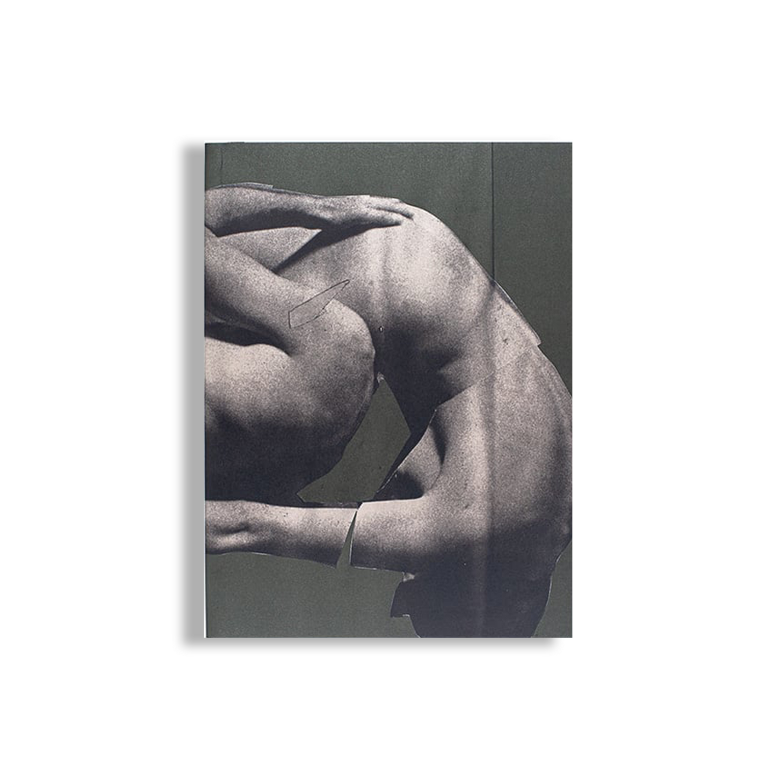 Wild Flowers – James Gallagher