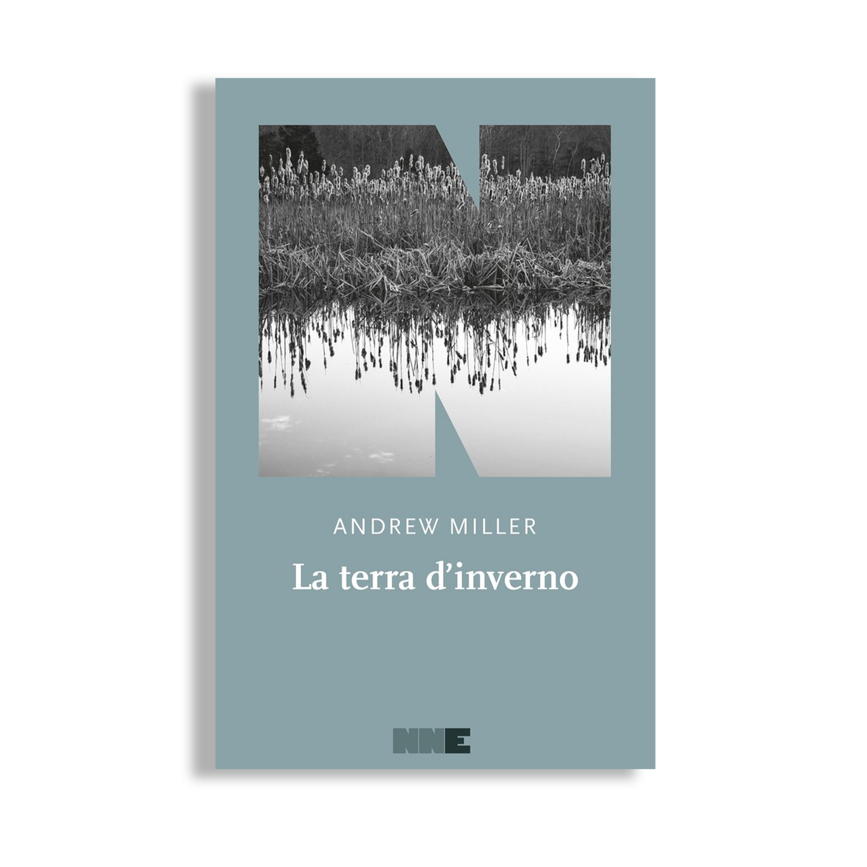La terra d'inverno