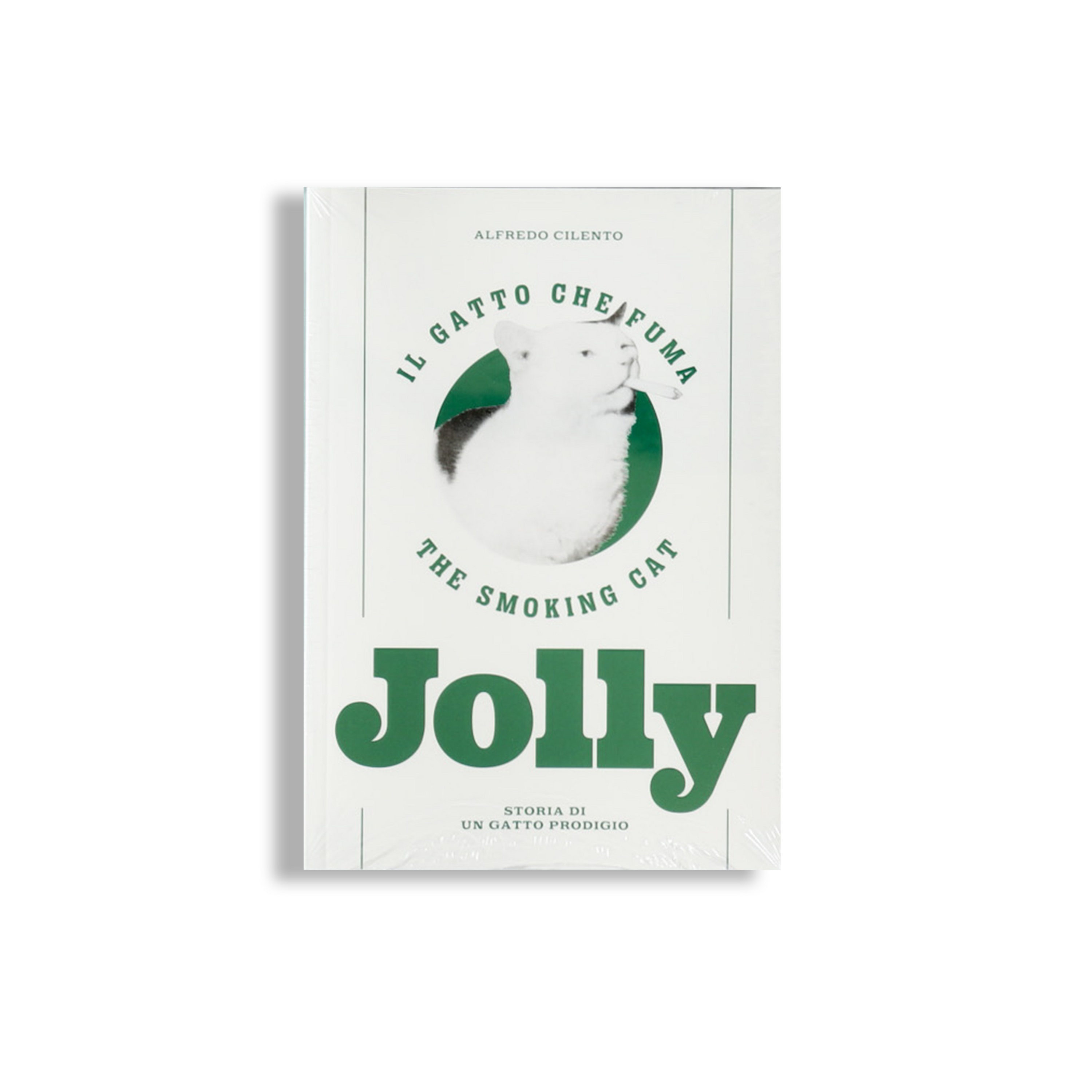 Jolly il gatto che fuma