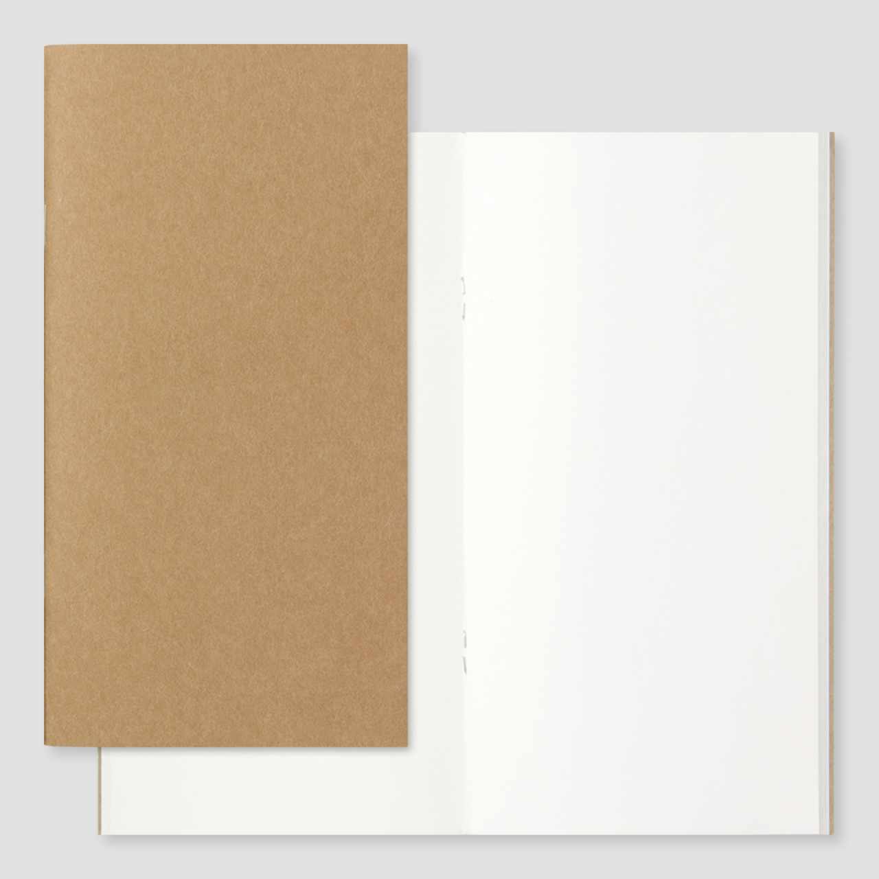 Traveler's Notebook Regular Size Starter Kit | Olive