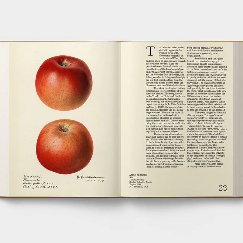 AN ILLUSTRATED CATALOG OF AMERICAN FRUITS & NUTS