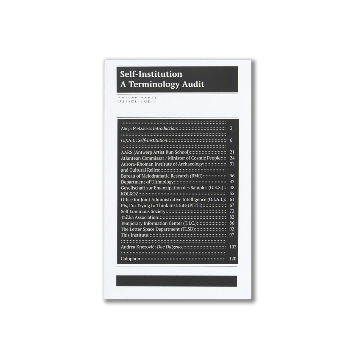 Self-Institution/ Terminology Audit