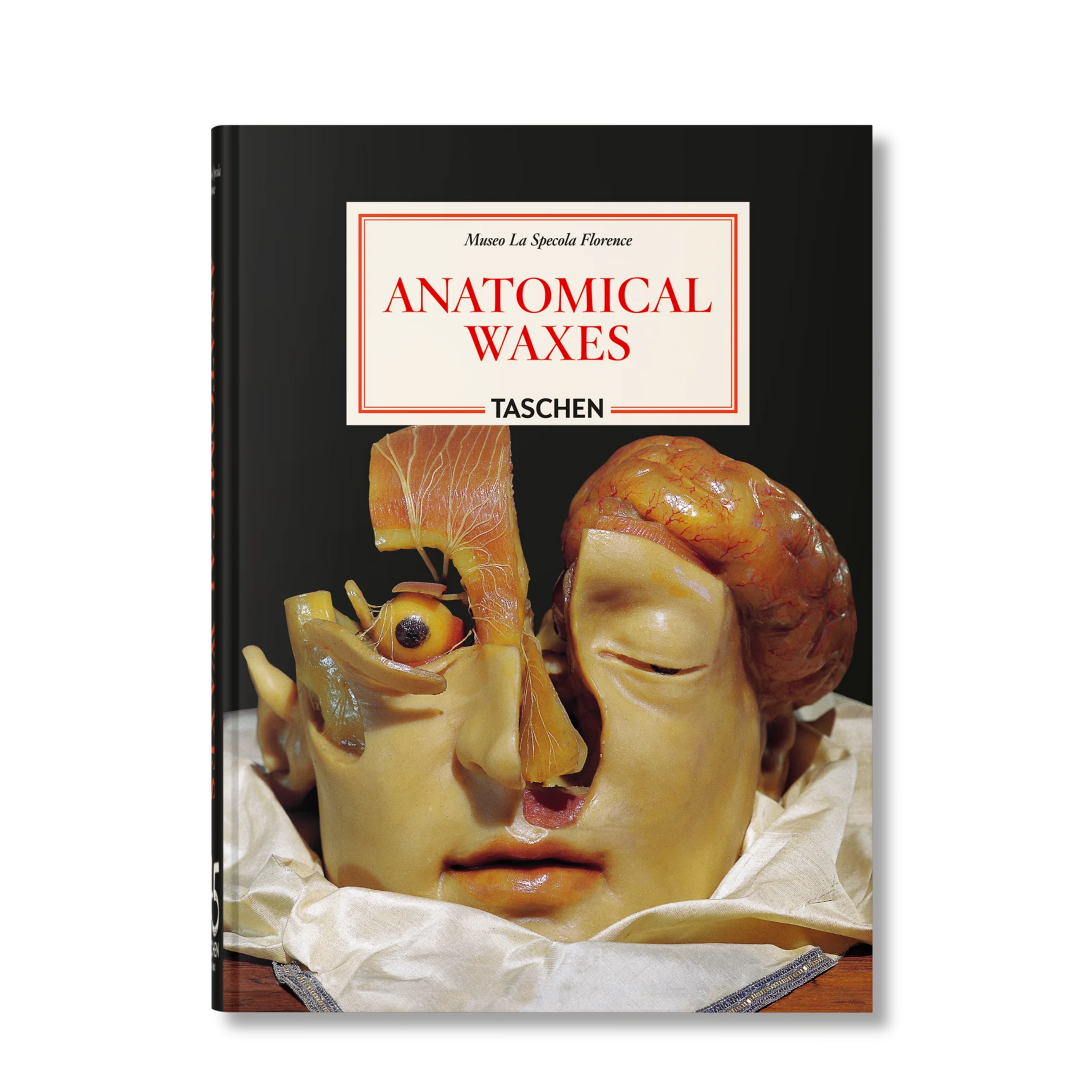 Anatomical waxes. 45th Ed.