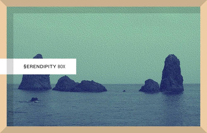SERENPIDITY BOX. L'ODISSEA - Todo Modo