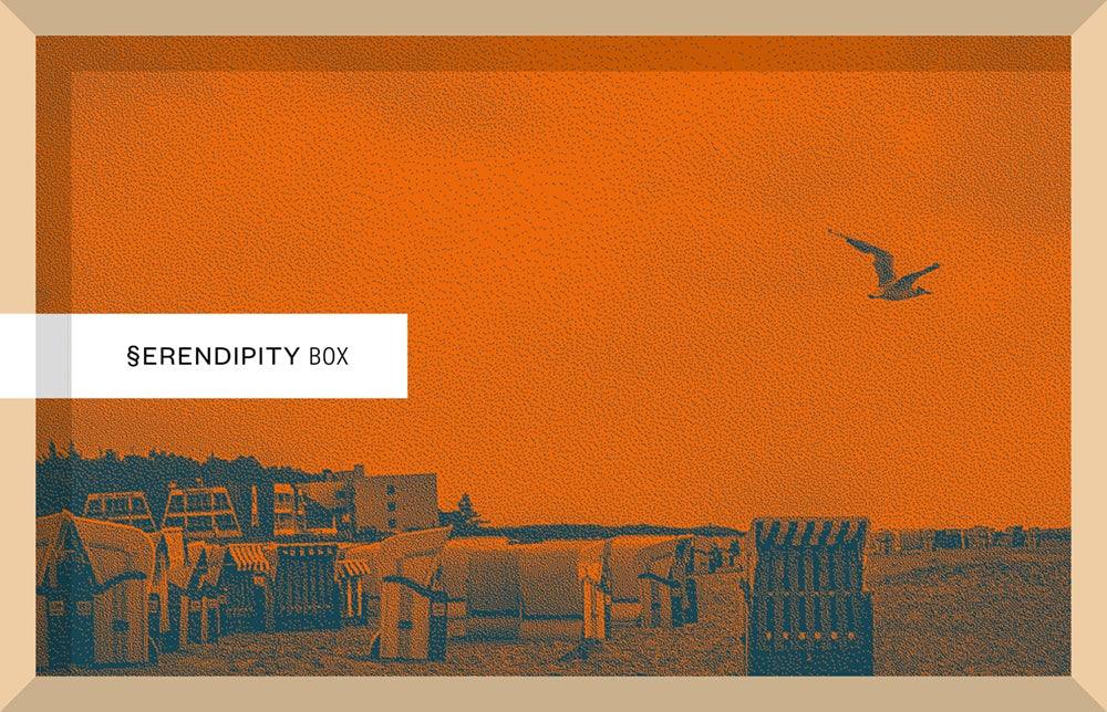 SERENPIDITY BOX. I FIORI DEL MALE - Todo Modo