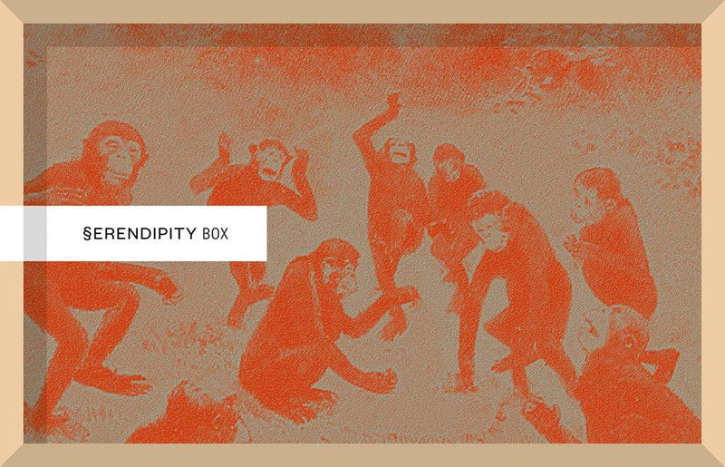 SERENPIDITY BOX. L'ORIGINE DELLA SPECIE - Todo Modo