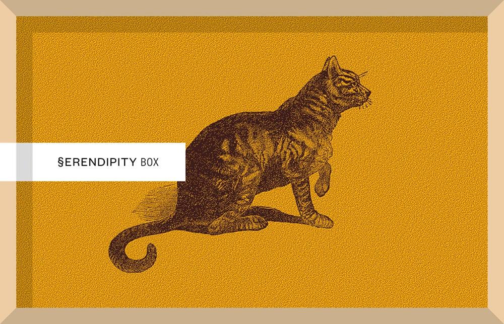 SERENPIDITY BOX. IL MAESTRO E MARGHERITA - Todo Modo