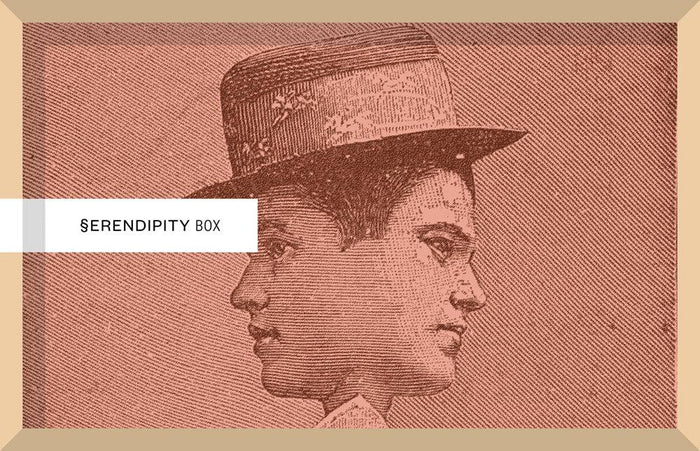SERENPIDITY BOX. ORLANDO - Todo Modo