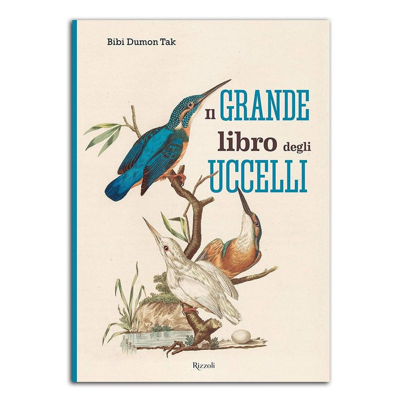Il grande libro degli uccelli - Todo Modo