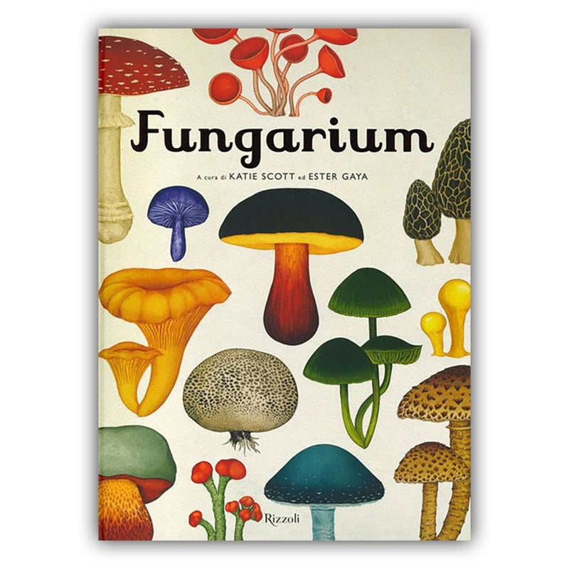 Fungarium - Todo Modo