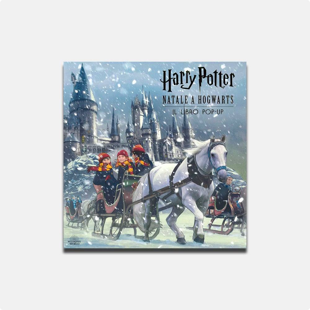 Harry Potter, Natale a Hogwarts - Todo Modo